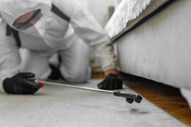Professional Emergency Pest Control technician working in Thompson's Station, TN