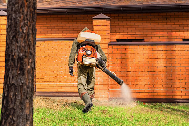 Trusted Rodent Control service in Thompson's Station, TN - Nex Pest Control